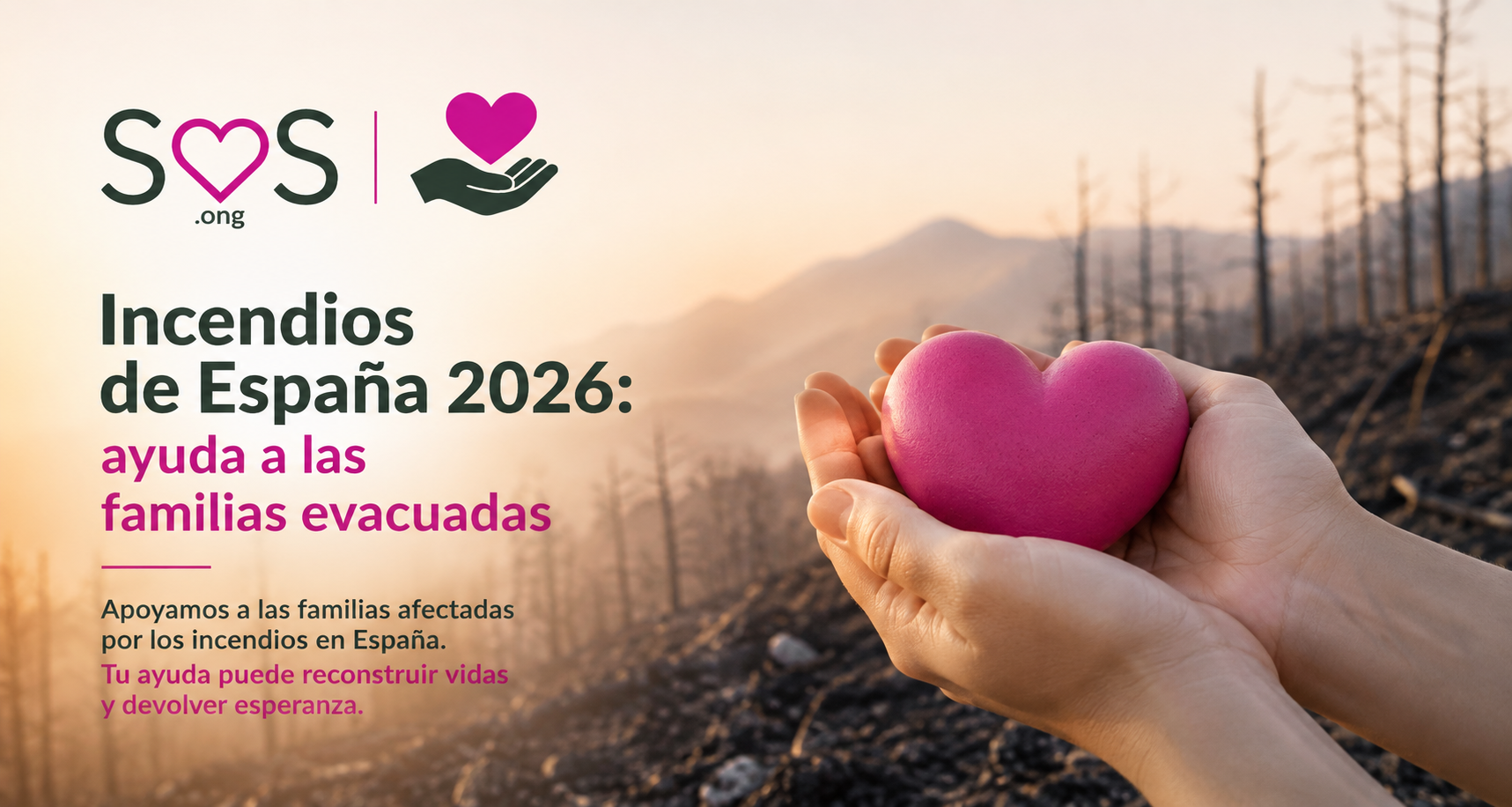 Imagen de la causa: Incendios de España 2026: ayuda a las familias evacuadas